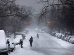 Allerta meteo invernale per neve “grassa”.