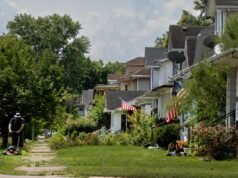 Cosa succede al tuo prato in inverno e come prepararsi per la primavera