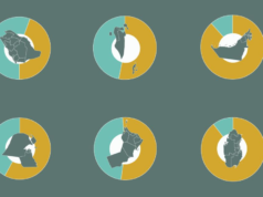 Da dove provengono i 35 milioni di stranieri che vivono nel GCC?