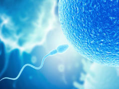 Le prestazioni dello sperma negli uomini possono diminuire dopo un periodo di astinenza