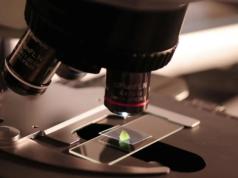 Perché gli esperti scientifici indiani ritengono che le discipline STEM saranno cruciali per il futuro