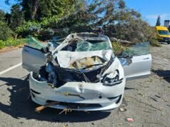 Un albero cade e colpisce due Tesla sulla Highway 101 a South Bay