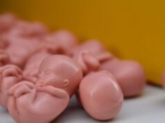 Spagna, ministro per le Pari opportunità denunciato per essersi “appropriato” della bozza di riforma sull’aborto proposta da un giurista