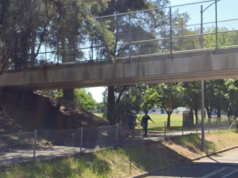 Ciclista di Davis ucciso in uno scontro con un adolescente su una e-bike