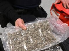 Paese a rischio di diventare un “narco-stato”