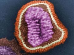 Quasi 26.000 casi di influenza registrati mentre i medici avvertono che la stagione dell’orrore si avvicina