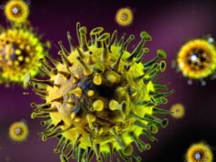 Avvertimento terribile: 60 persone potrebbero essere uccise dal ceppo influenzale Super-K