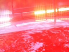 Vittime da arma da fuoco trovate in un’auto dopo una rissa nella parte occidentale di Sydney