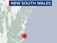 Sparatutto in libertà dopo una rapina a mano armata e un furto d’auto sulla costa meridionale del NSW