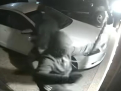 Una giovane famiglia innocente è stata erroneamente presa di mira nell’invasione domestica