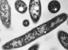 Avviso sanitario urgente dopo l’epidemia di gravi malattie respiratorie a Melbourne