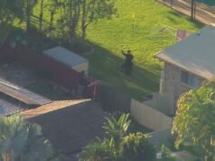 È in corso la caccia all’uomo in periferia per un uomo a torso nudo accusato di aver speronato un’auto della polizia