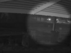 Bambino ucciso, donna e bambino gravemente feriti in un incidente in un mezzo di trasporto condiviso