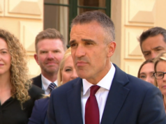 Il premier del SA annuncia un rimpasto di governo a sorpresa dopo una vittoria schiacciante