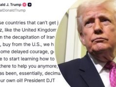 Trump critica gli alleati per non aver aiutato il suo sforzo bellico