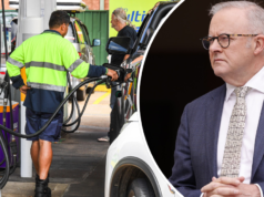 ‘Ogni contingenza’: scelte da incubo per Albo oggi