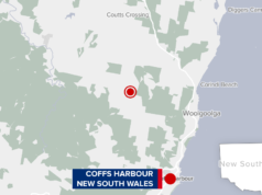 Donna in lotta per la vita dopo un presunto mordi e fuggi