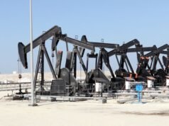 La risorsa più preziosa del Golfo non è il petrolio. È molto più significativo