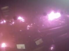 Adolescente denunciato per incendio morso da cane poliziotto