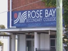 L’adolescente è stato accusato di aver sparato con un fucile ad aria compressa contro un compagno di studi