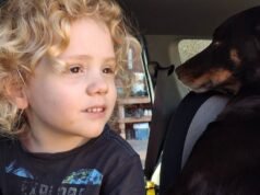 La polizia sostiene che i familiari di Gus Lamont scomparso presumibilmente “non hanno collaborato”