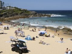 Visitare una delle spiagge più famose di Sydney? Potrebbe presto costarti