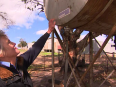 Doppio colpo per la comunità colpita dagli incendi: i ladri prendono di mira gli agricoltori per procurarsi carburante