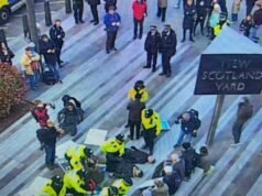 Sostenitori di Palestine Action arrestati mentre la polizia metropolitana di Londra inverte la politica