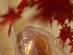 Oscar 2026: Hollywood celebra se stessa tra “crisi esistenziale”, scioperi incombenti e forte declino