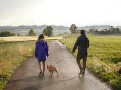 Un cane di famiglia durante una passeggiata mattutina conduce il suo proprietario da una donna priva di sensi, salvandola da morte certa