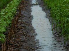 In vantaggio: il nuovo indice promette previsioni a lungo termine più accurate