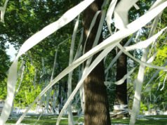 La moglie dell’insegnante uccisa in uno scherzo studentesco vuole che le accuse vengano ritirate