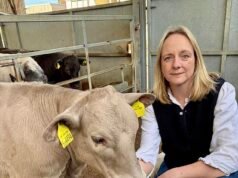 Una contadina denuncia il “ridicolo” sistema di licenze governative che consente ai criminali di scaricare rifiuti nel paese – dopo aver registrato il suo premio COW Beau come smaltitore ufficiale di rifiuti