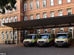 Un uomo lotta per la vita dopo il presunto attacco con un martello da parte di una donna mentre si trovava nel letto d’ospedale di Sydney