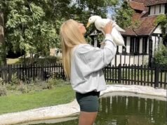 Perché un’anatra da compagnia è diventata l’accessorio animale indispensabile per i ricchi e famosi