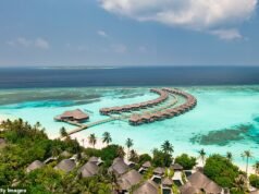 Attacco di squalo in luna di miele: la sposa sta lottando per la vita e ha una gamba amputata durante le vacanze alle Maldive