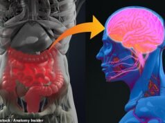 Gli scienziati individuano un nuovo modo per prevedere il rischio di demenza, Parkinson e malattia dei motoneuroni – ANNI prima che si sviluppino i sintomi