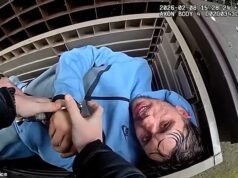 Un momento il teppista pasticcione si schianta con l’auto e poi cerca di fuggire a piedi dalla polizia… prima di essere trovato nascosto in una scatola da giardino