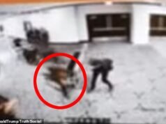 Il momento straziante del momento in cui Cole Tomas Allen, armato di pistola, ha fatto irruzione oltre la sicurezza alla cena dei corrispondenti della Casa Bianca