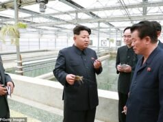 Le esecuzioni più brutali della Corea del Nord rivelate in un nuovo rapporto: vittime picchiate a morte con un martello, una donna incinta colpita da colpi di arma da fuoco e un uomo ucciso per aver lasciato morire delle tartarughe marine – mentre le immagini mostrano i luoghi delle esecuzioni