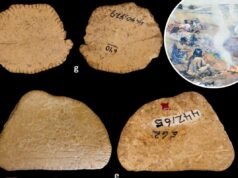 I dadi di 12.000 anni suggeriscono abitudini di gioco già nell’ultima era glaciale