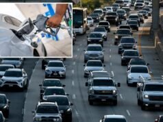 Il gruppo commerciale delle case automobilistiche sollecita il governo ad abolire la tassa sul gas e sostituirla con una tassa sul peso del veicolo