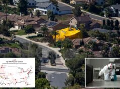 Api, vespe e zanzare: oh mio Dio!: Yelp rivela le principali città degli Stati Uniti piene di attività nocive