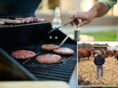 Perché il tuo barbecue estivo sta diventando più costoso e non è solo la carne