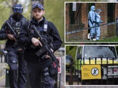 Sinagoga di Londra presa di mira per sospetto incendio doloso: rapporto