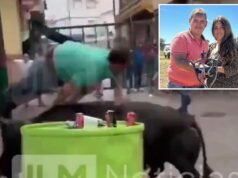 Papà la cui moglie, in attesa del secondo figlio, si è scontrata sulla “strada dell’inferno” durante un festival spagnolo di corse di tori