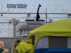 Lo stratega democratico strappa il partito per non aver ricostruito Los Angeles, sprecando denaro per le infrastrutture