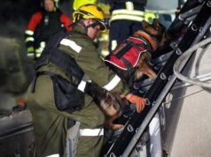 Coppia sposata ucraina di 75 anni uccisa nell’attacco russo a Odessa