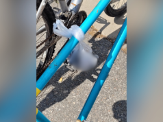 Il proprietario della bicicletta non riesce a credere a ciò che uno sconosciuto ha legato al bar del centro