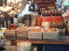 11 idee imprenditoriali nel villaggio dopo l’Eid, opportunità di trarre profitto dalle tradizioni e dalle esigenze quotidiane dei residenti